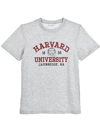T-shirt harvard menino | licença oficial