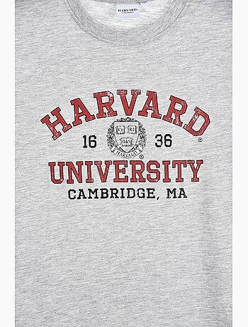 T-shirt harvard menino | licença oficial