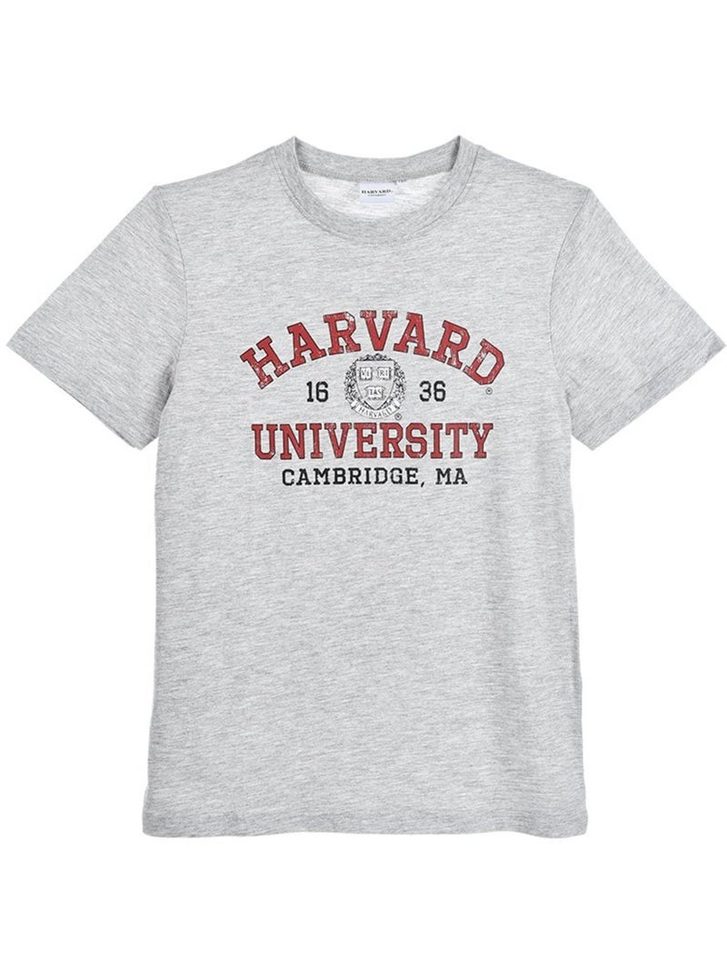 T-shirt harvard menino | licença oficial Cinza - Kiabi