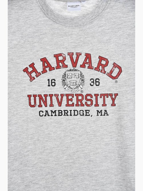T-shirt harvard menino | licença oficial - Kiabi T-shirt harvard menino | licença oficial - Kiabi