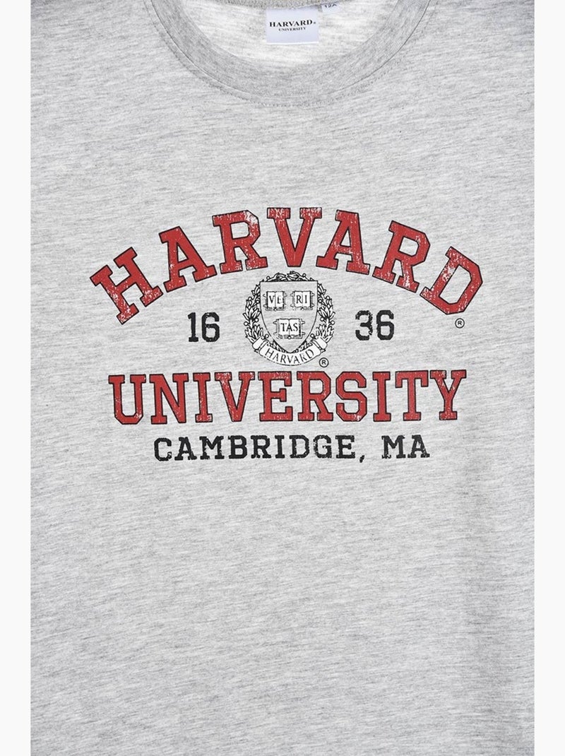 T-shirt harvard menino | licença oficial Cinza - Kiabi
