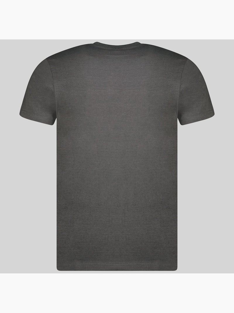 T-shirt japigal – geographical norway Cinza escuro - Kiabi