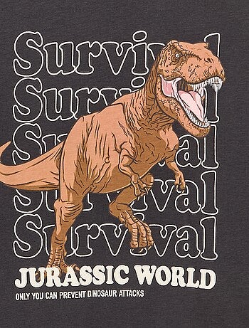 T-shirt 'Jurassic World' de manga comprida