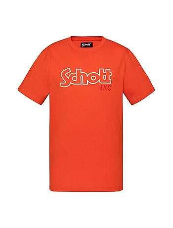 T-Shirt Vintage Verde/Azul para Rapaz Schott