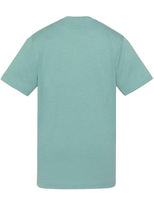 T-Shirt Schott RODE para Rapaz Verde/Azul - Kiabi T-Shirt Schott RODE para Rapaz Verde/Azul - Kiabi