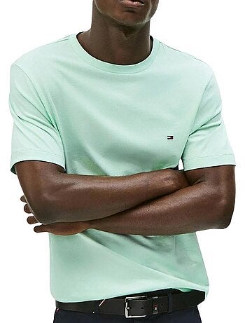 T-shirt tommy hilfiger ess seasonal verde para homem