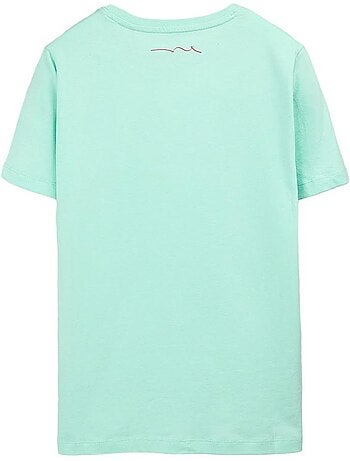 T-shirt verde menta para rapaz teddy smith evan