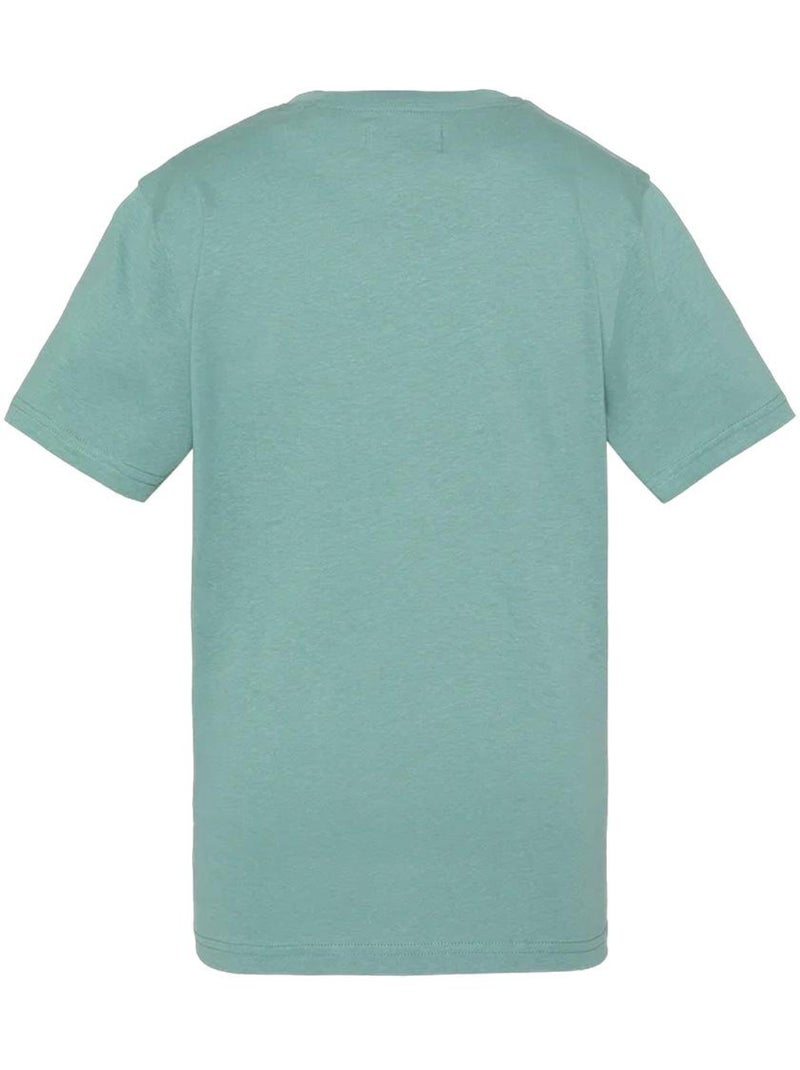 T-Shirt Vintage Verde/Azul para Rapaz Schott Verde - Kiabi