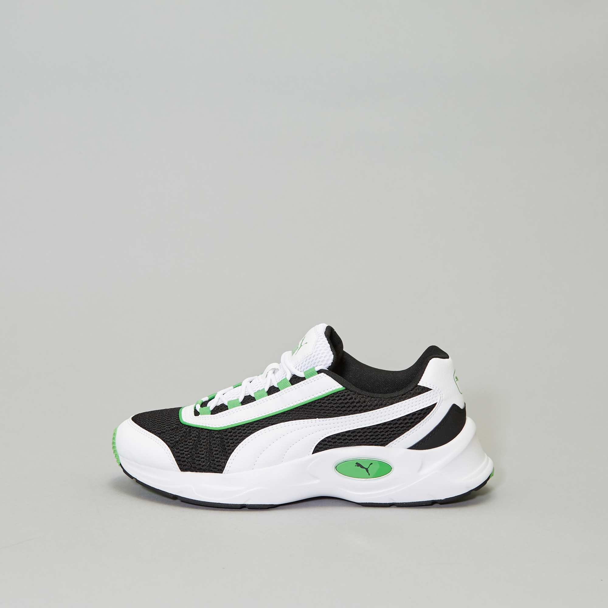 nucleus puma