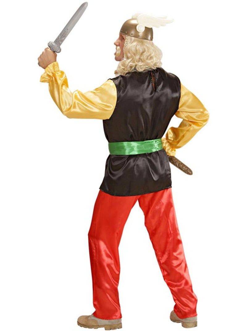 Traje gaulês Multicolorido - Kiabi