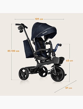 Triciclo evolutivo LIONELO Kori - Assento reversível e ajustável - Até 25 kg - Cesto incluído