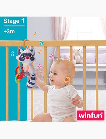 Winfun teddy chocalho guaxinim