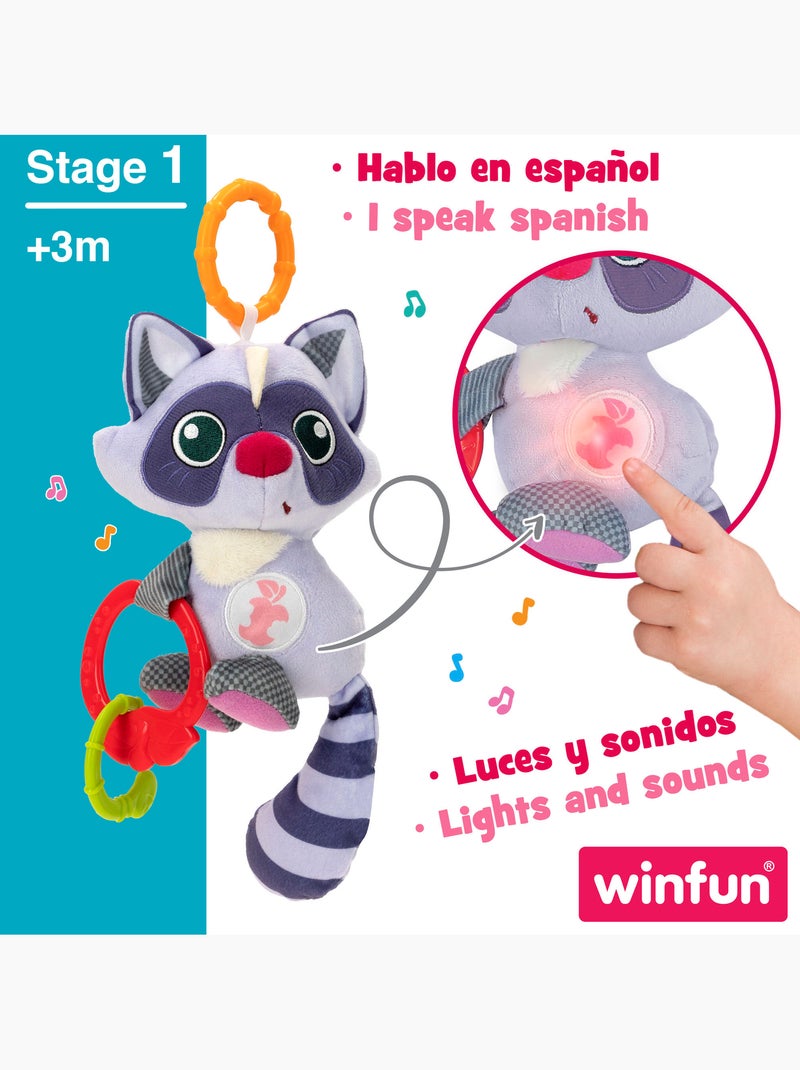 Winfun teddy chocalho guaxinim N/D - Kiabi